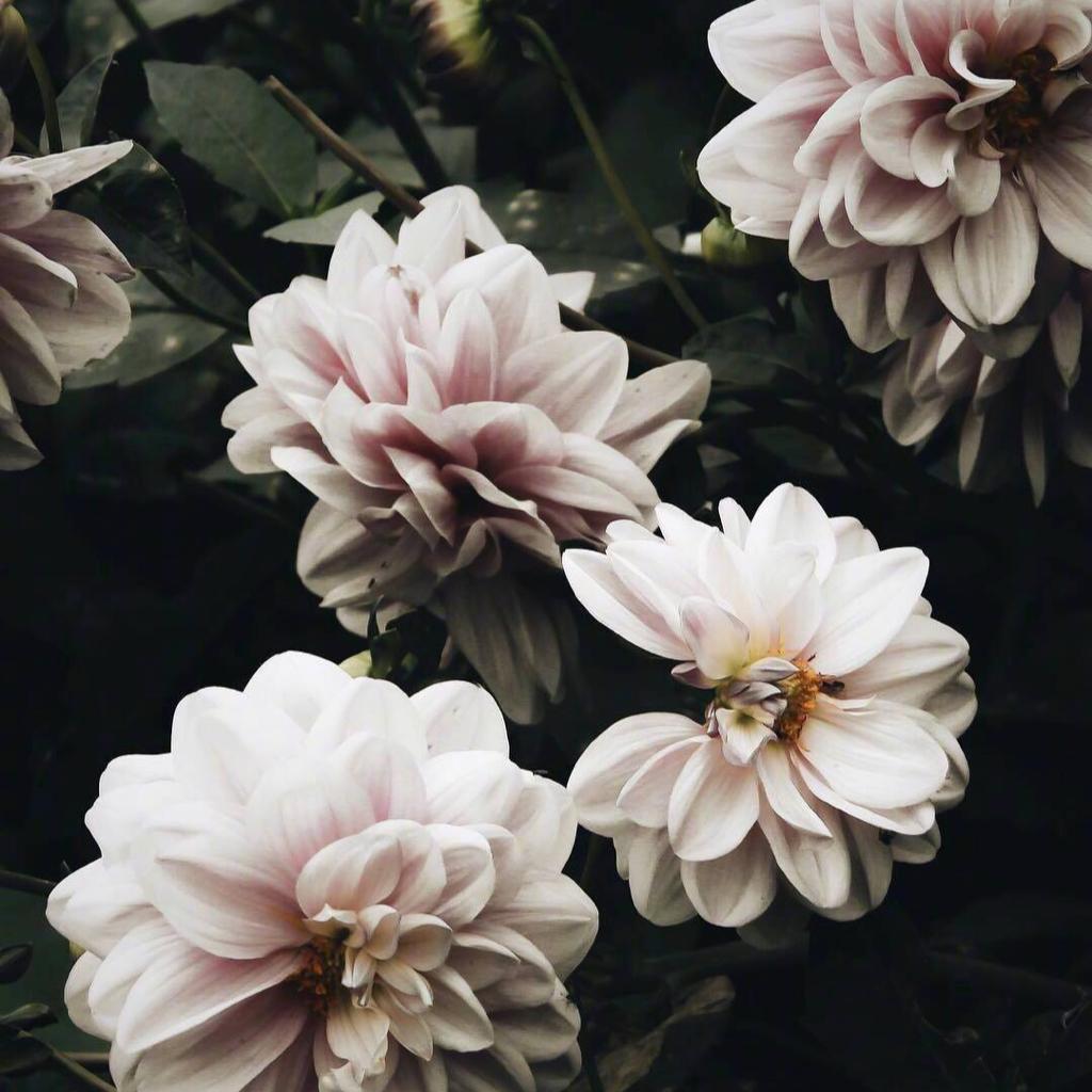 Boney James- Body Language