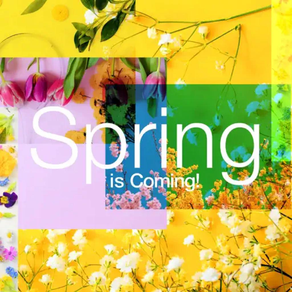 春日序曲: SPRING IS COMING!