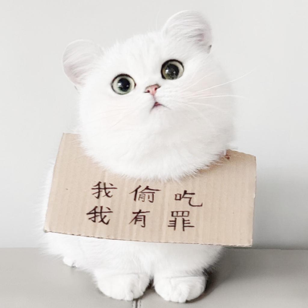 若能懂我三两语