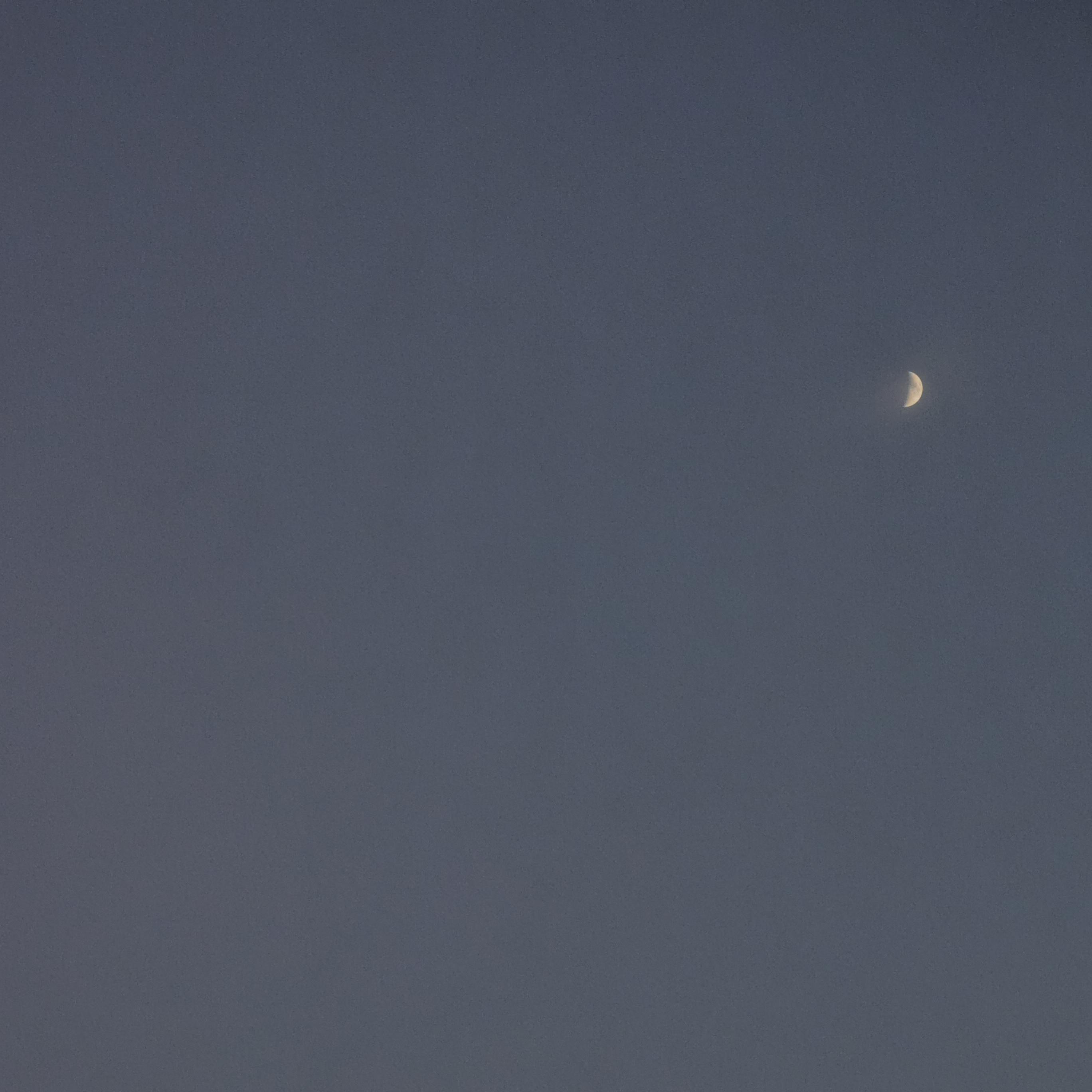 薄 荷 味 的 仲 夏 夜 晚