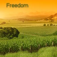 Freedom (Reading and Study Music,Study Music, Study Music Academy,Musique Relaxante Relax)