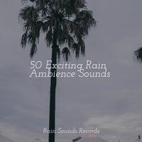 50 Exciting Rain Ambience Sounds