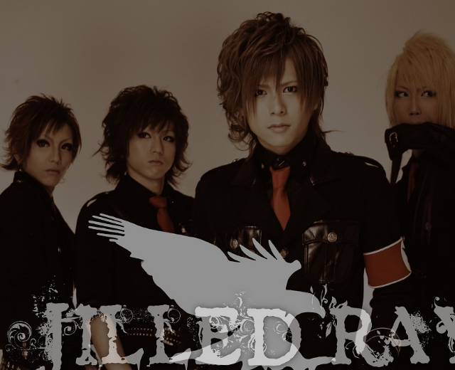 JILLED RAY