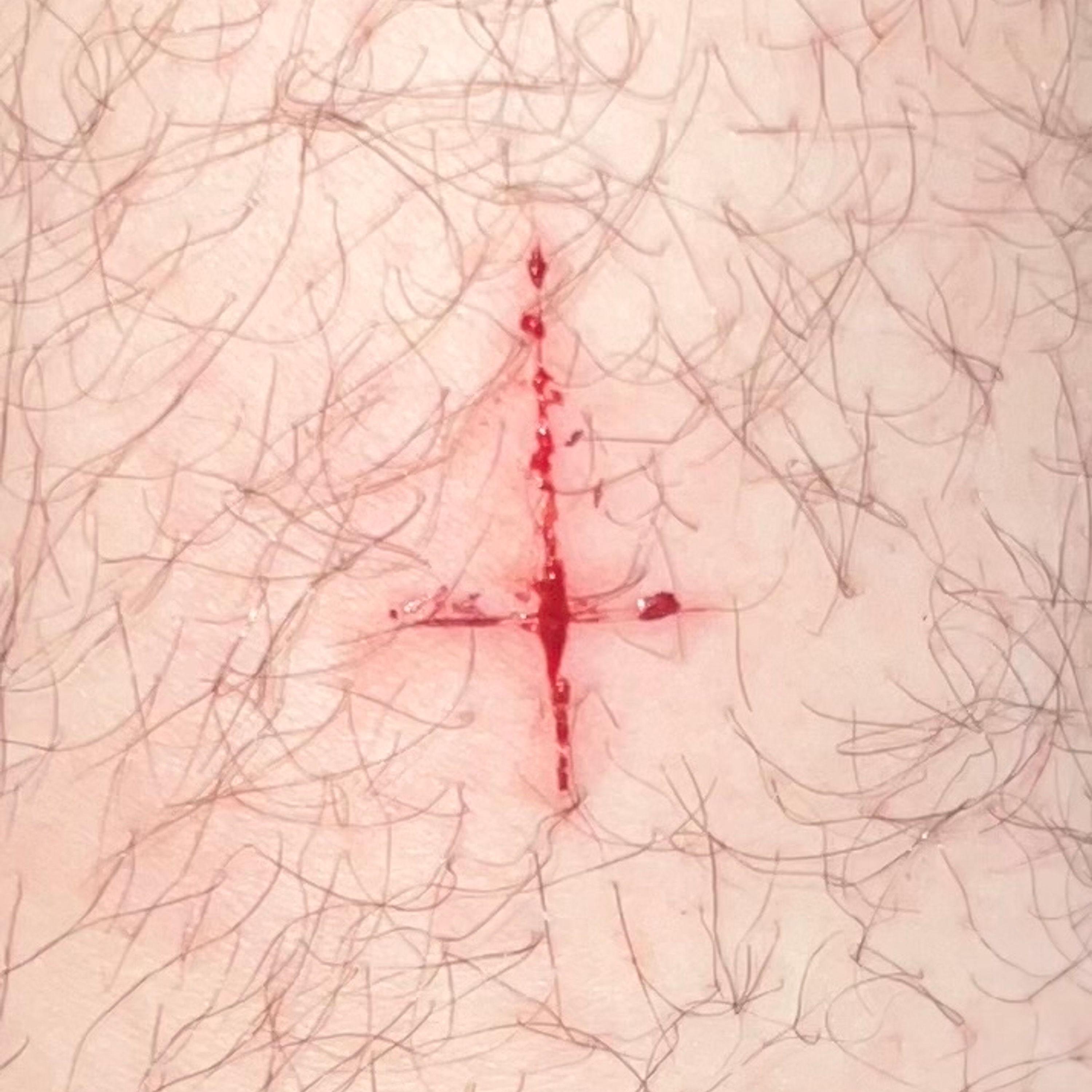 Chicken man CXDRIC 单曲 网易云音乐