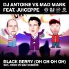 Mad Mark - Black Berry (Oh Oh Oh Oh) (Max Robbers Radio Edit)