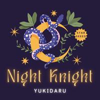 Night Knight