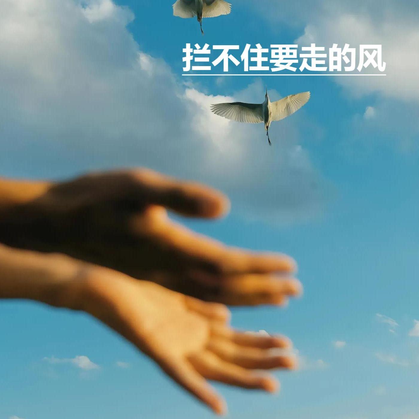 亲爱的小小怪下士见字如面 - 单人影封面