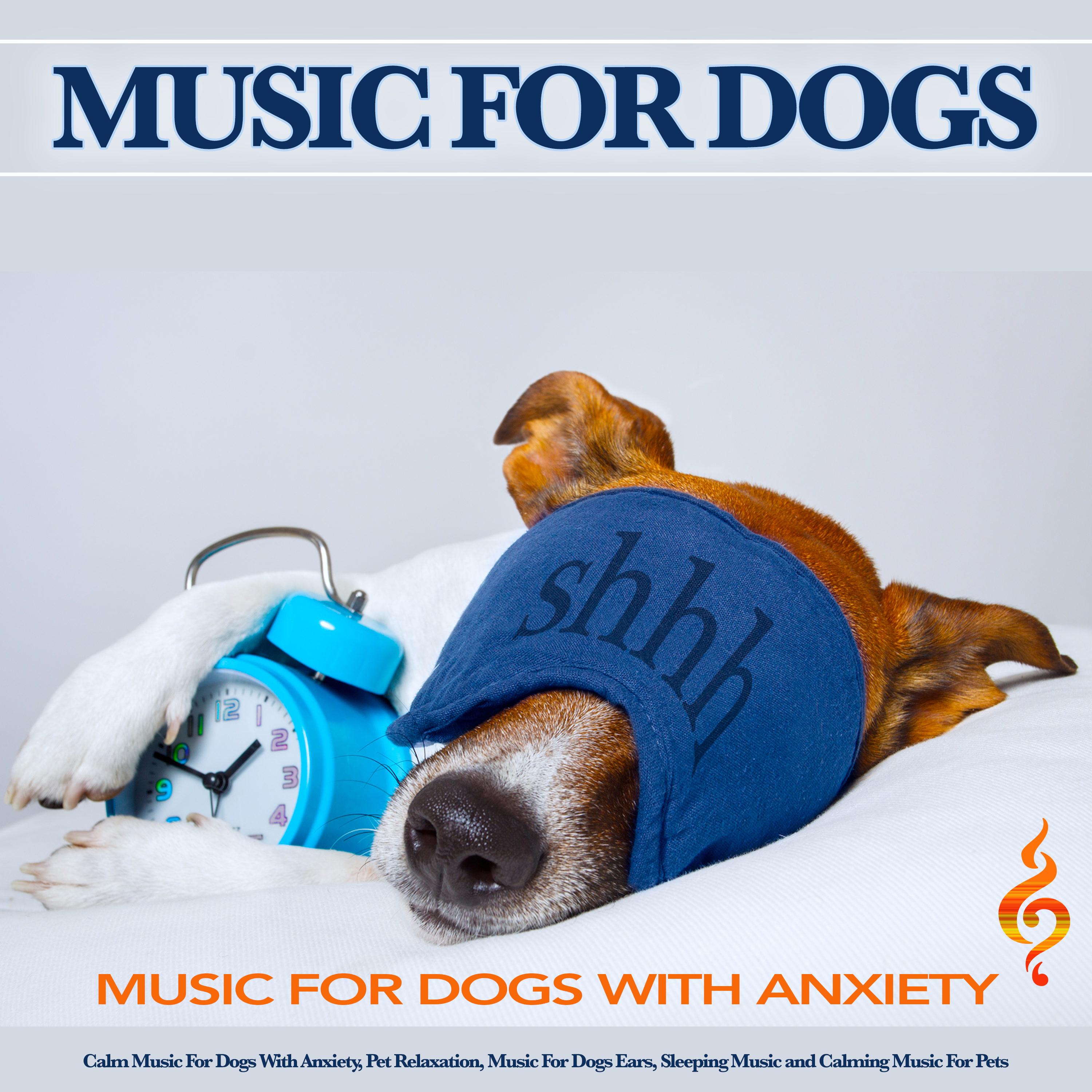 Music for Dogs