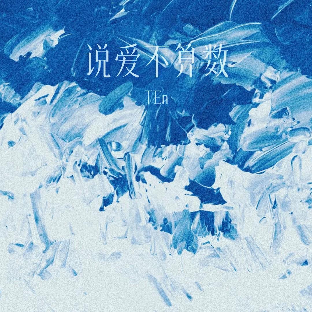 说爱不算数封面
