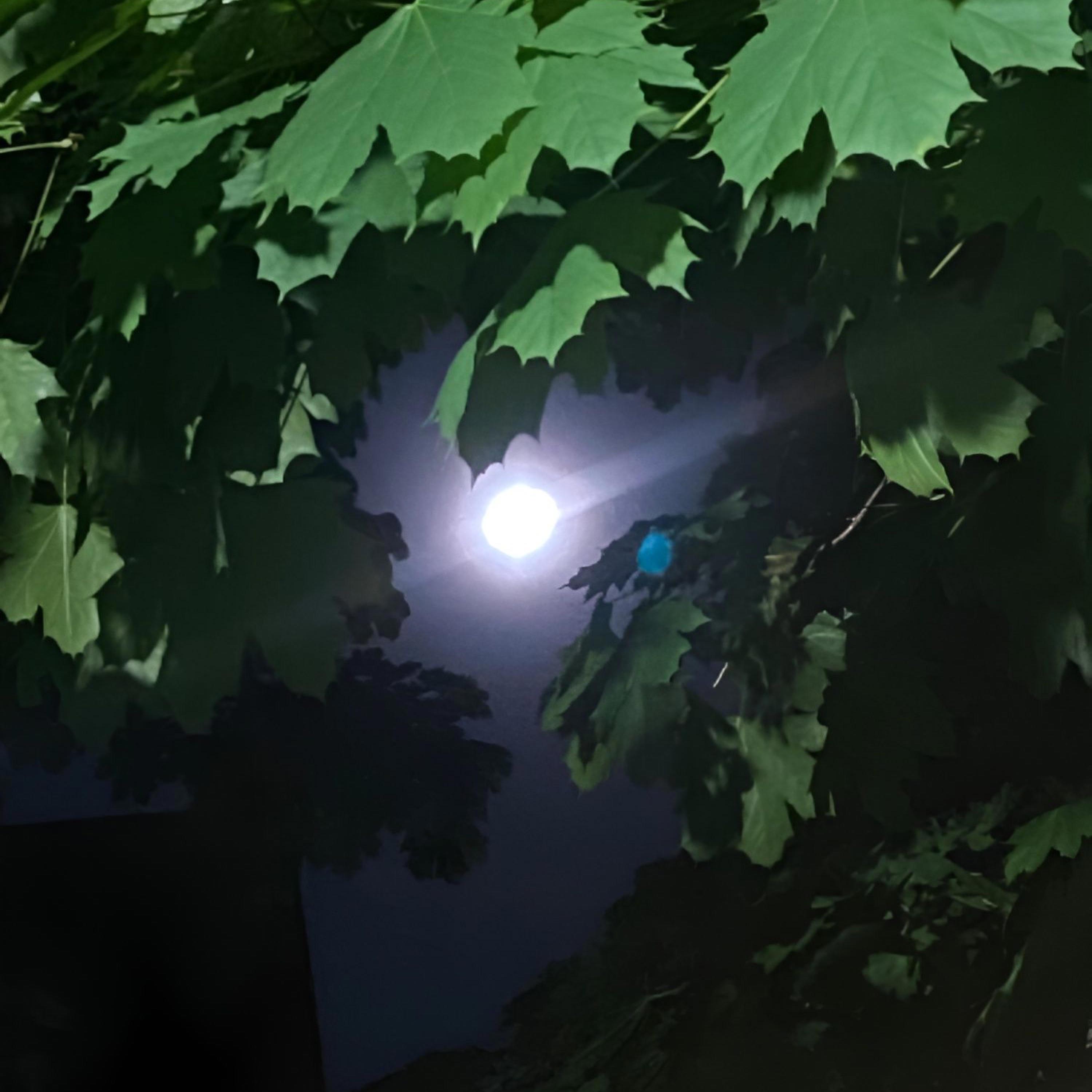 za (feat. killua katana)