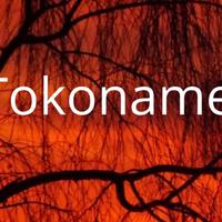 Tokoname