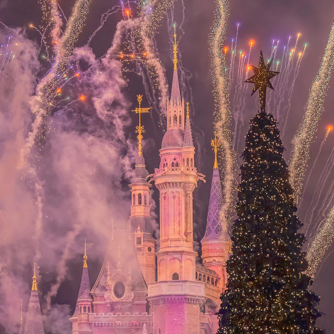 我们不是春季限定，你就是我的春天