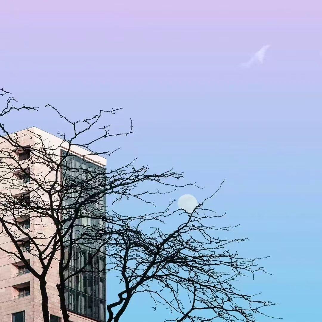 办公时光封面