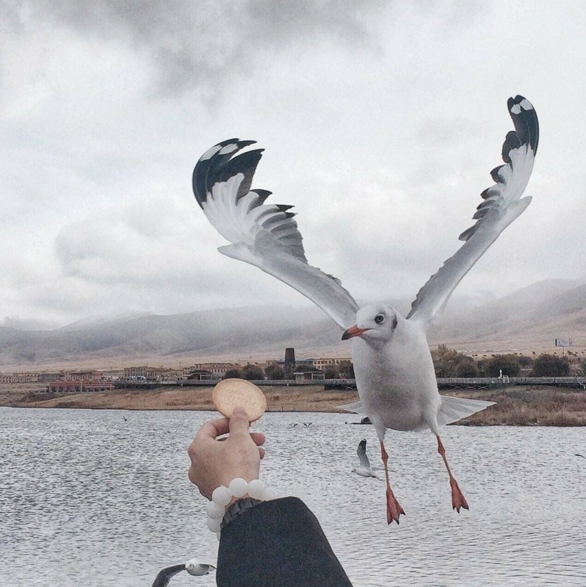 『英文歌自习室』写作业刷题听歌单