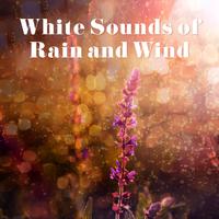 White Sounds of Rain and Wind – Calm Noise, Relaxation, Soothe Mind, Sleep Better, Stress Relief, Wellbeing, Total Rest, Nature Sounds