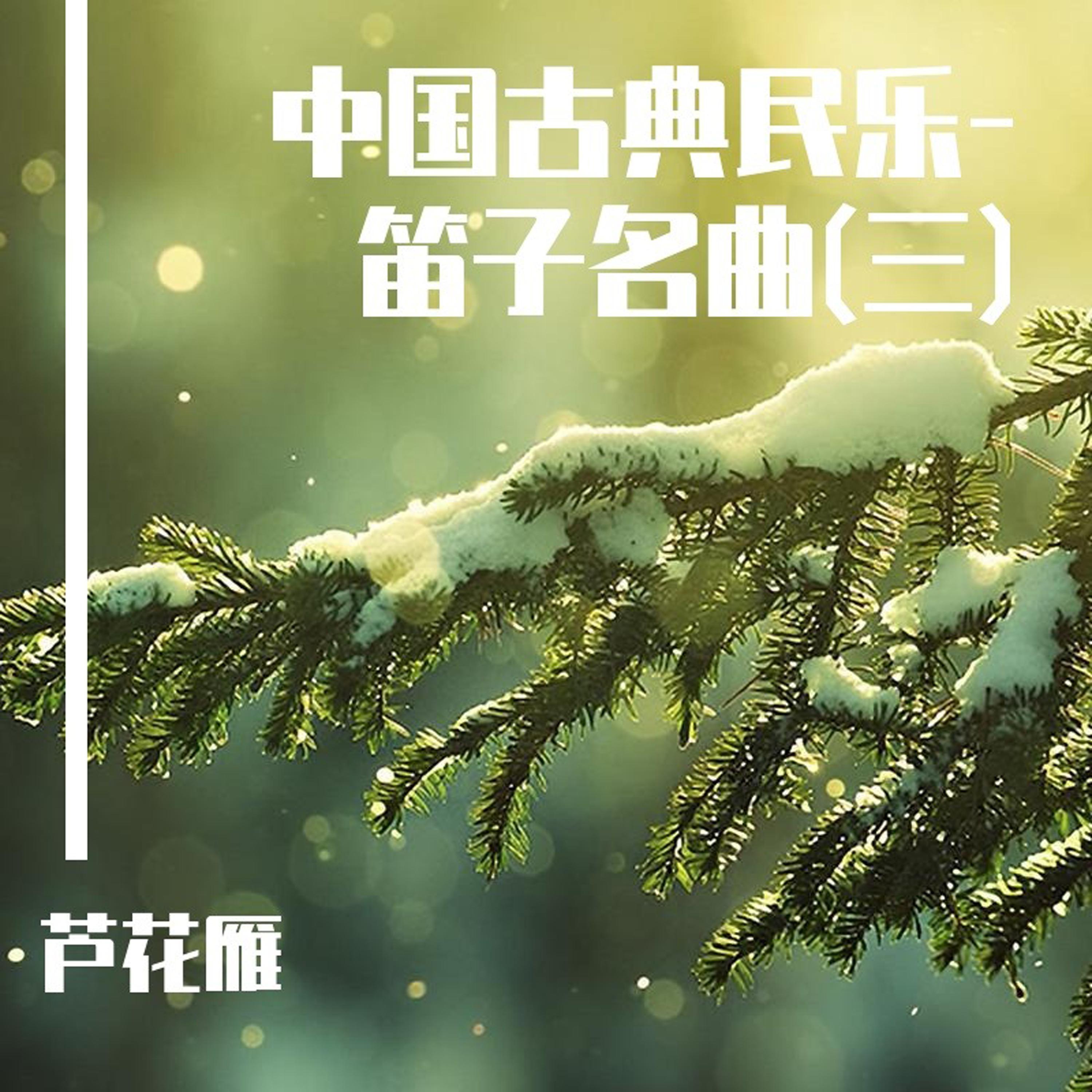 琵琶吟 (笛子曲)封面