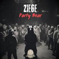 Party Bear