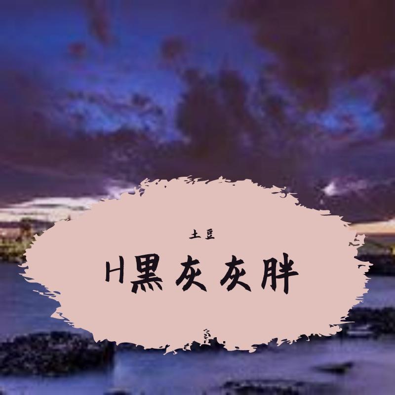 S很给力封面