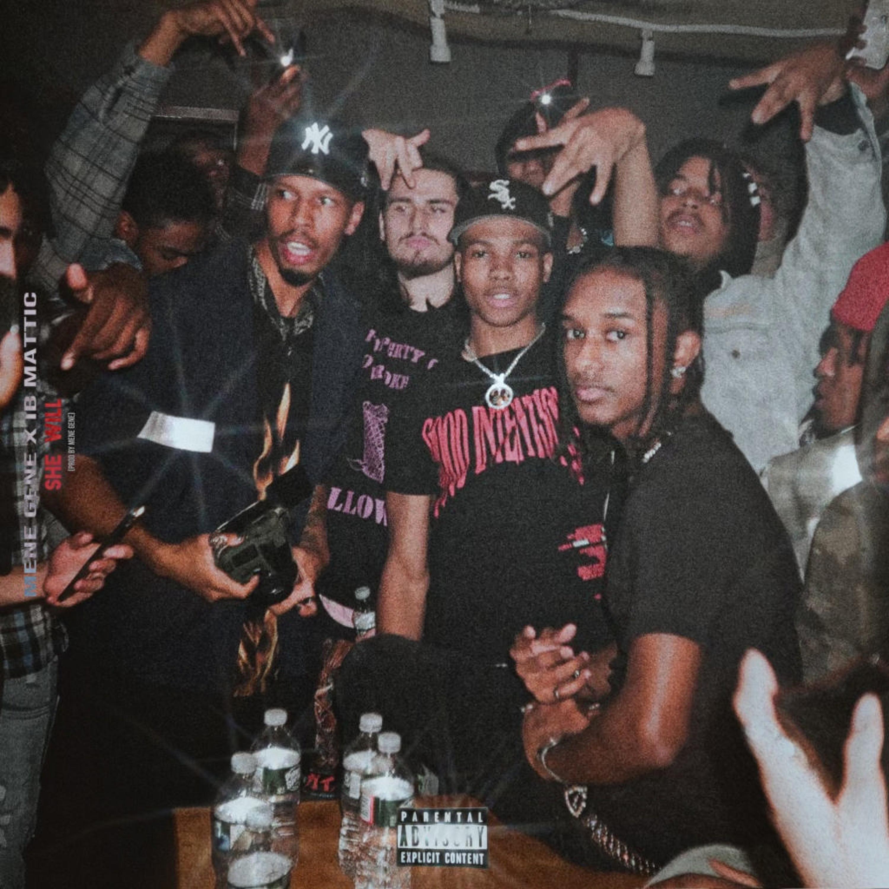 SHE WILL (feat. Ib Mattic)