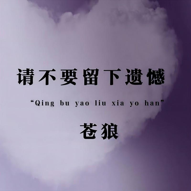 请不要留下遗憾 - 苍狼封面