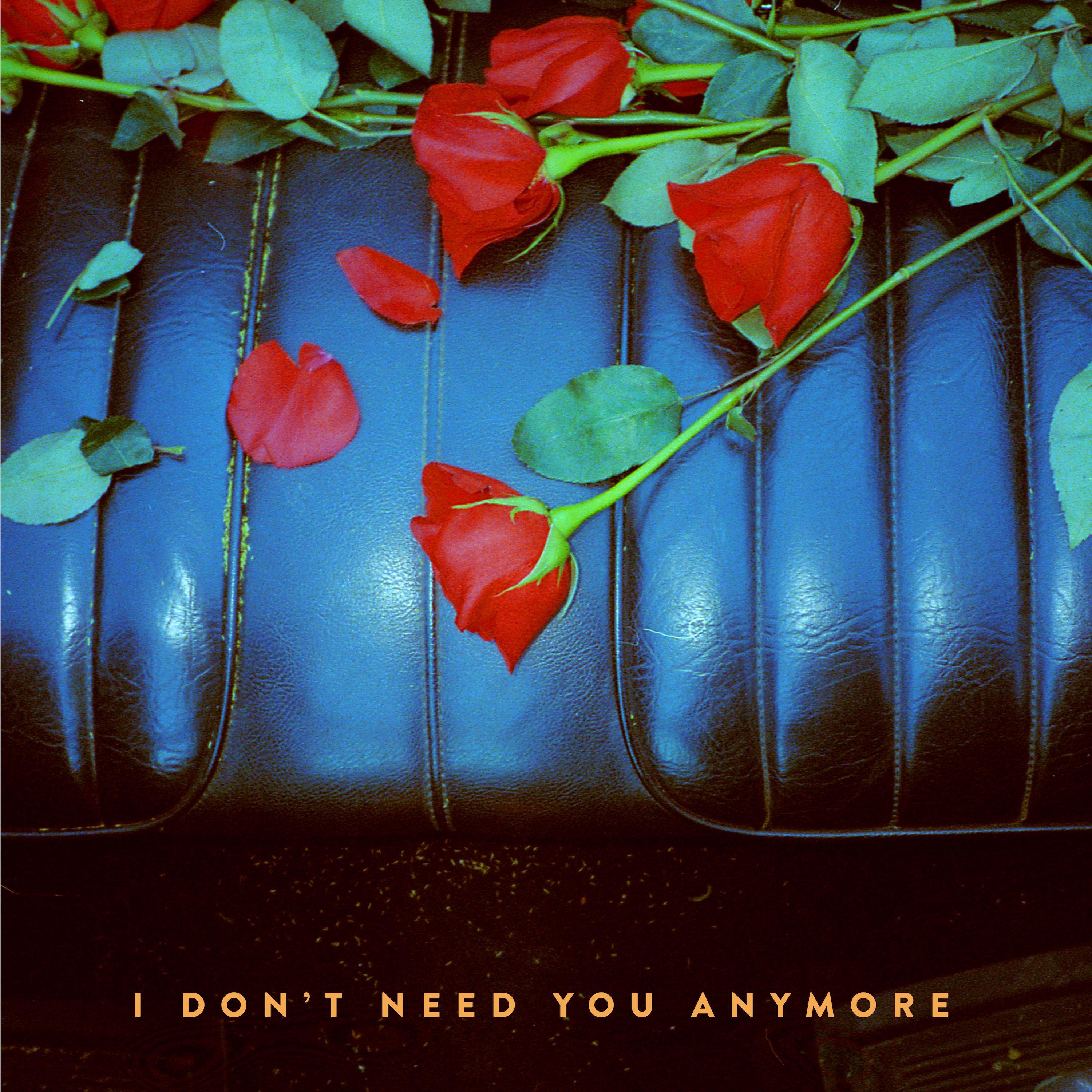 歌曲名《<b>I</b> Don&apos;t <b>Need</b> You Anymore》，由 The Dig 演唱，收录于《<b>I</b> Don&apos;t <b>Need</b> You A...