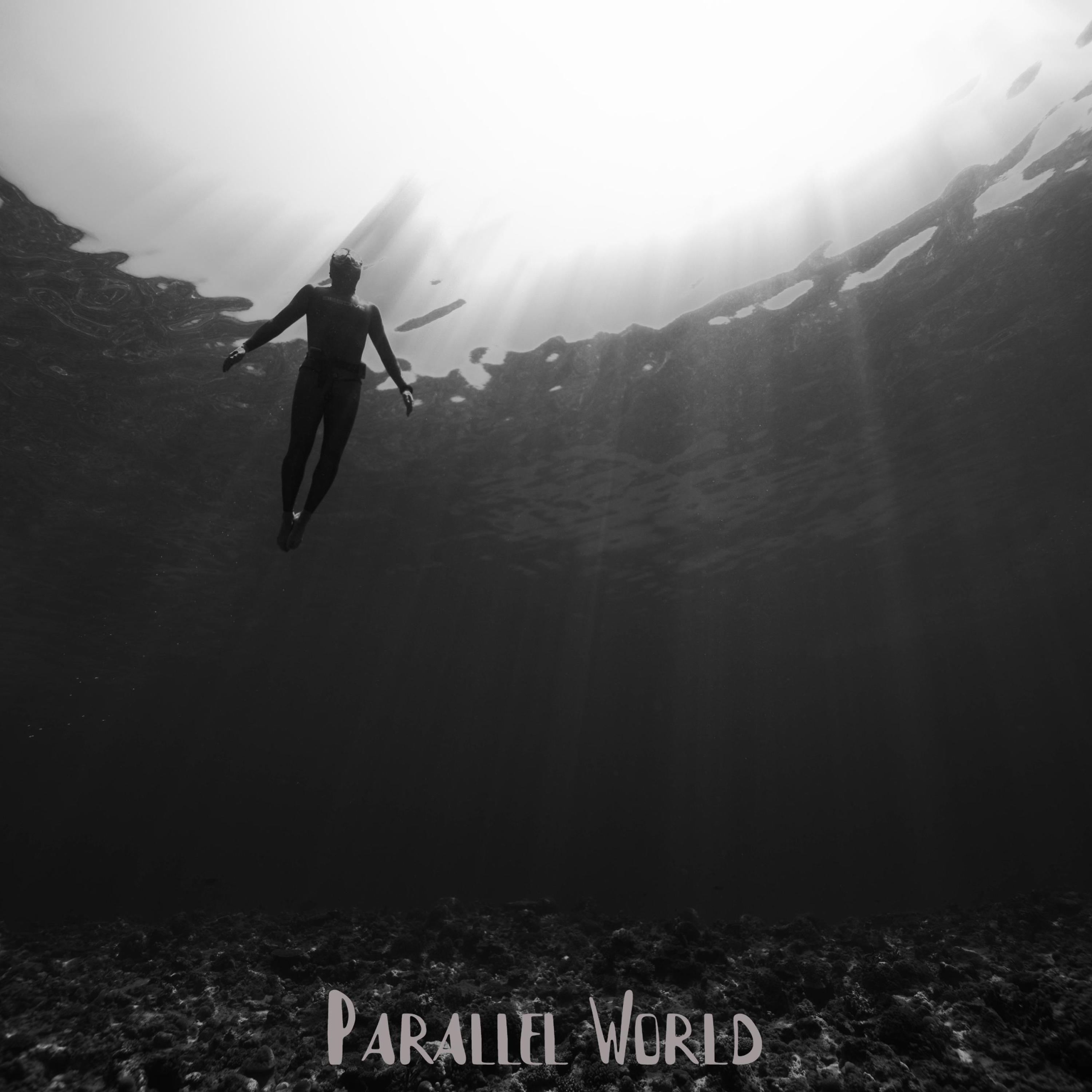 Parallel World