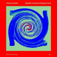 Melodic & Natural Feelings Vol 14