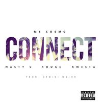 Connect (feat. Nasty C, Rouge & Kwesta)