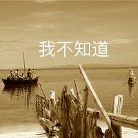 我不知道怎么做才算好
