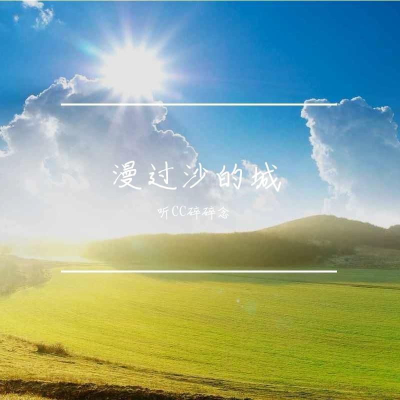 被遗忘的雨季封面
