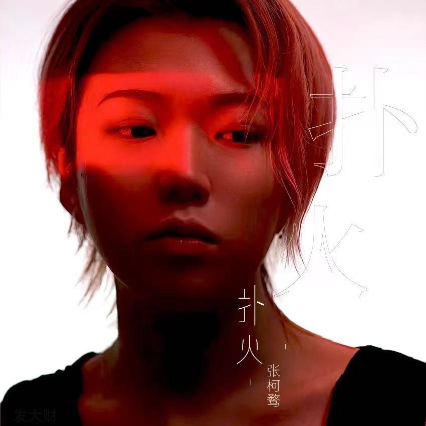 有人_张柯骛_扑火2026 | 在线播放_有人歌词_有人下载 | 网易云音乐
