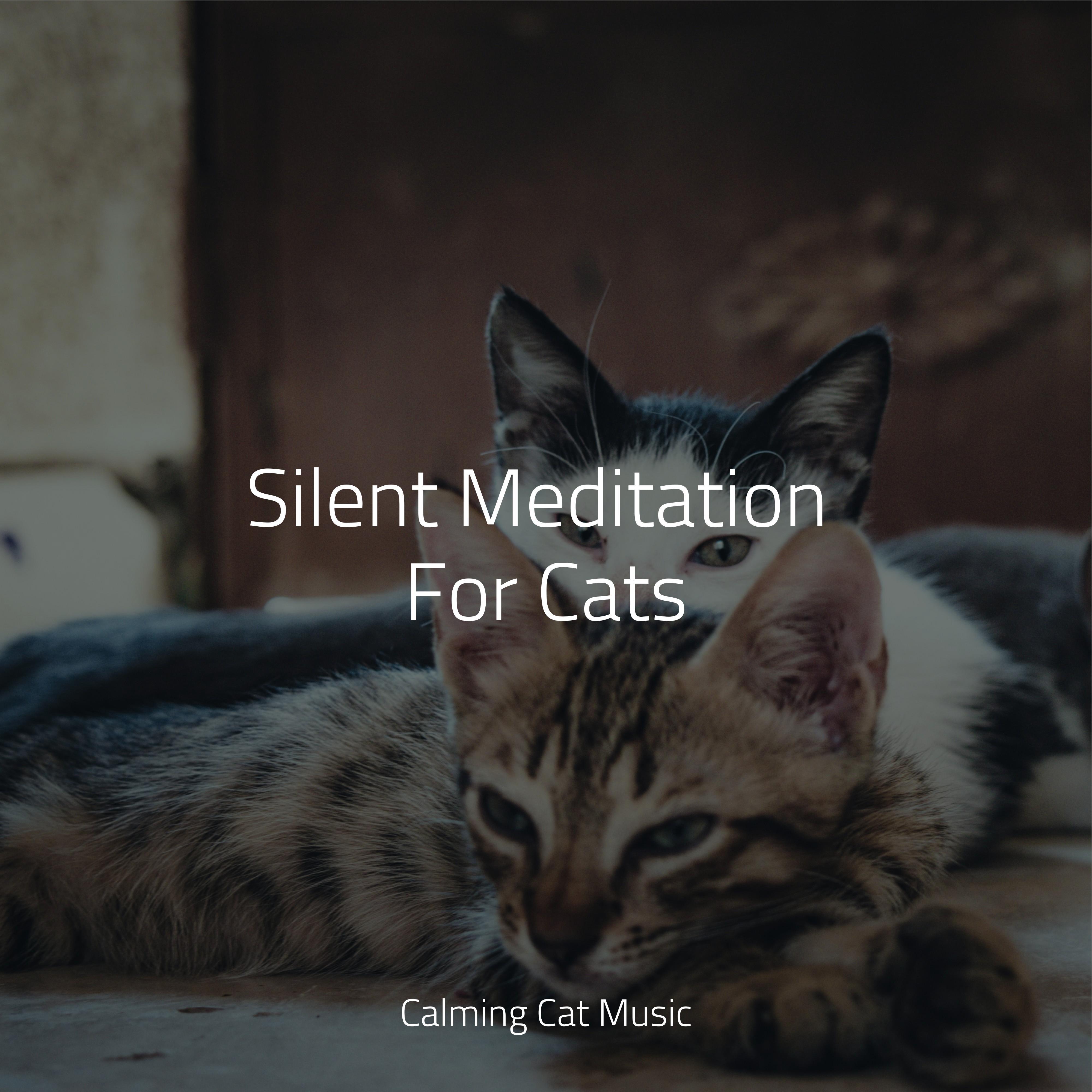 Low Frequency Waves Music For Cats Peace/Calm Music for Cats/Official