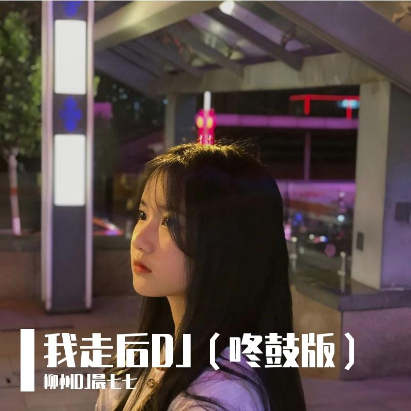 柳州晨七七-我走后(版)封面