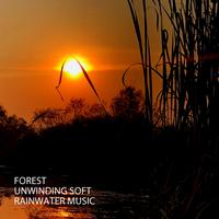 Forest: Unwinding Soft Rainwater Music