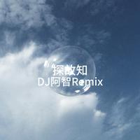 探故知(DJ阿智Remix)