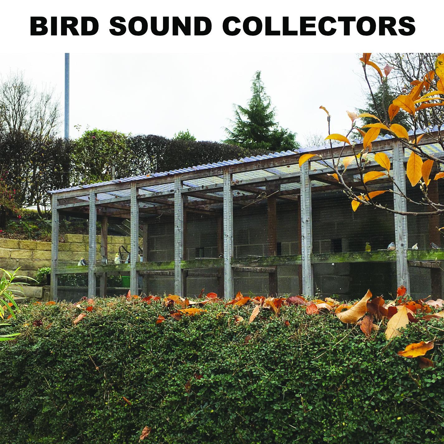 Bird Sounds