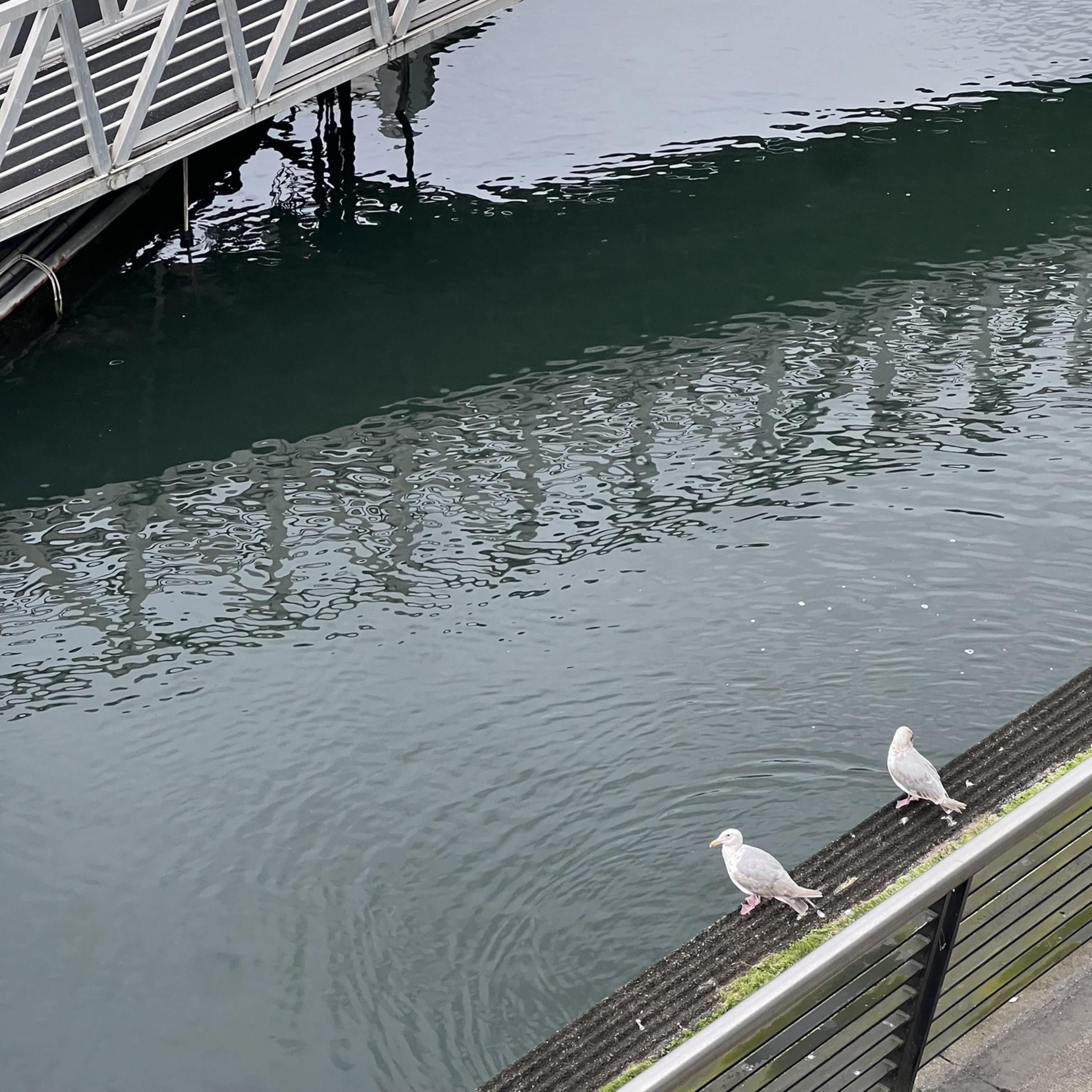 texas (feat. nicopatty)