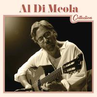 Al Di Meola Collection