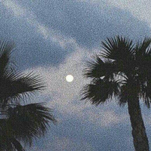 律动