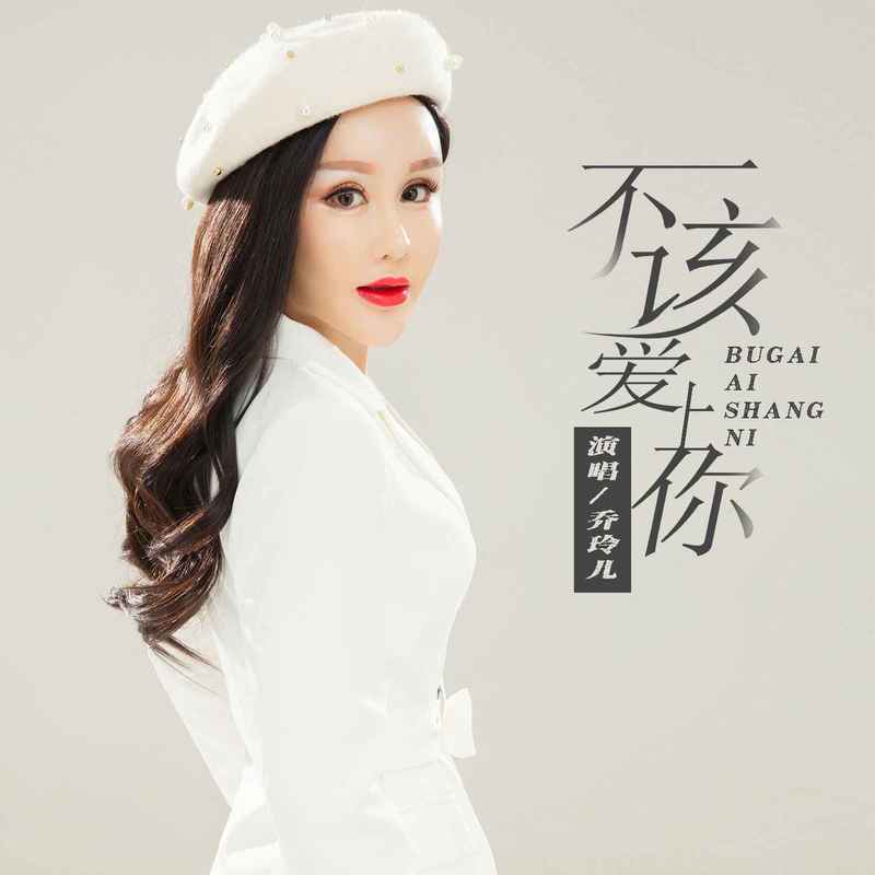 不该爱上你封面
