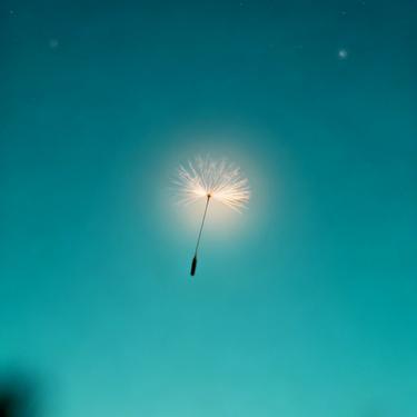 星落人间封面