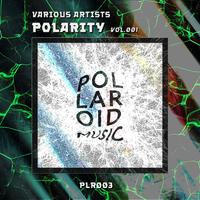 Polarity, vol. 003