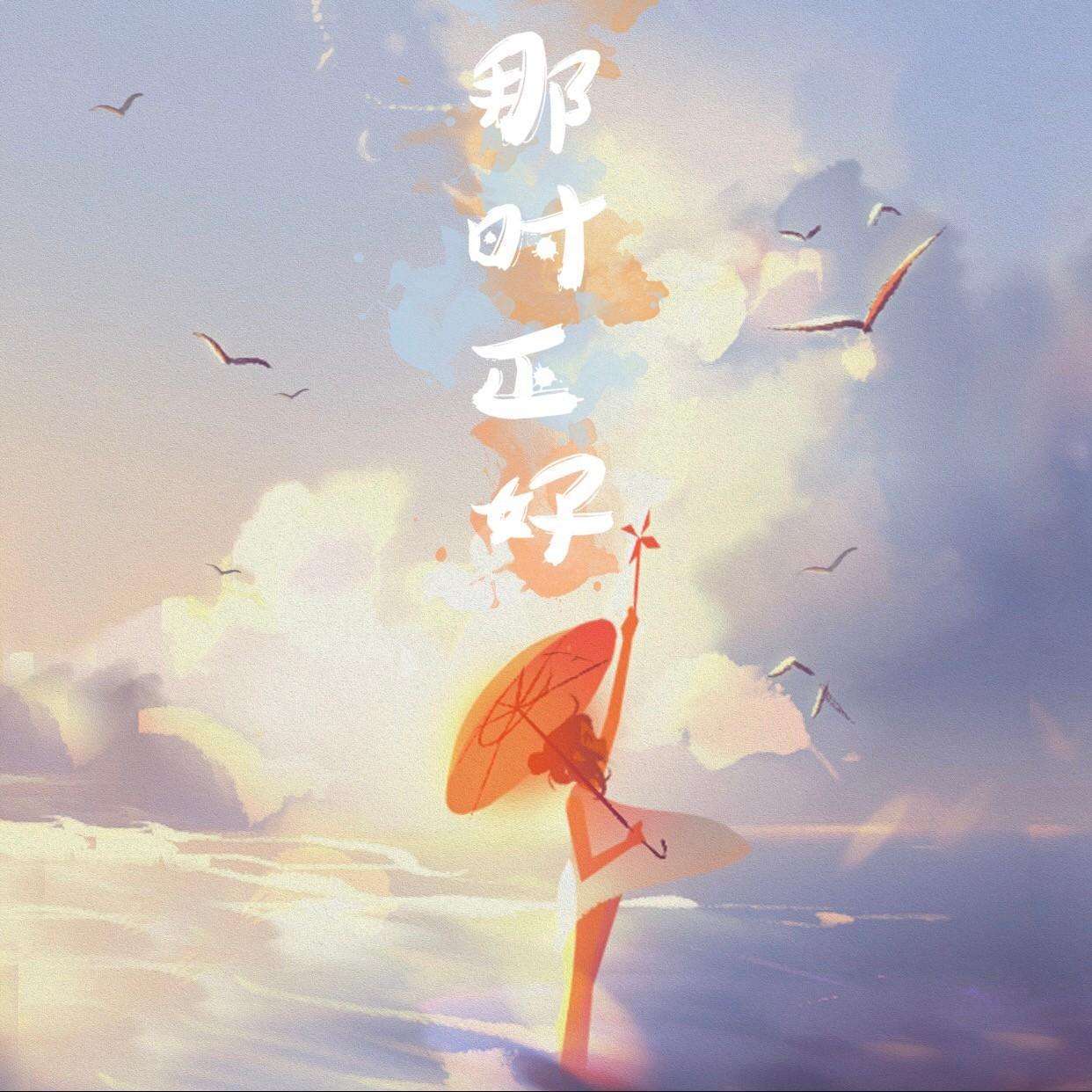 隐形的纪念（翻唱阿信版）封面