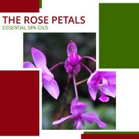 The Rose Petals - Essential Spa Oils