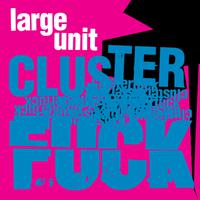 Cluster****