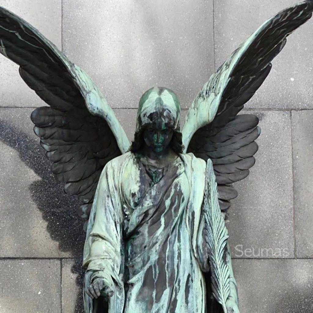 〔天使坠落〕敏感是万恶之源