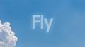 Fly专辑