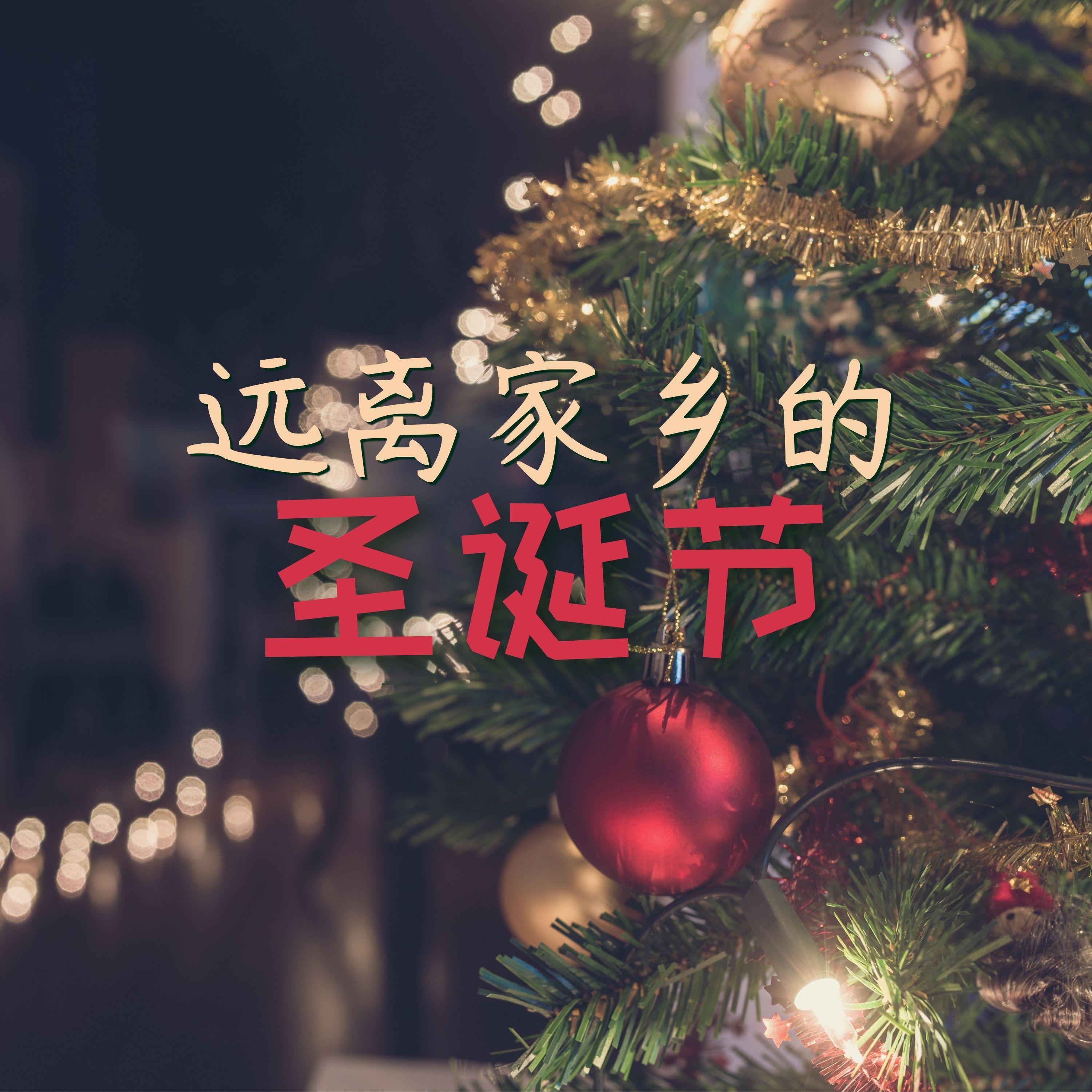 雪地童话封面