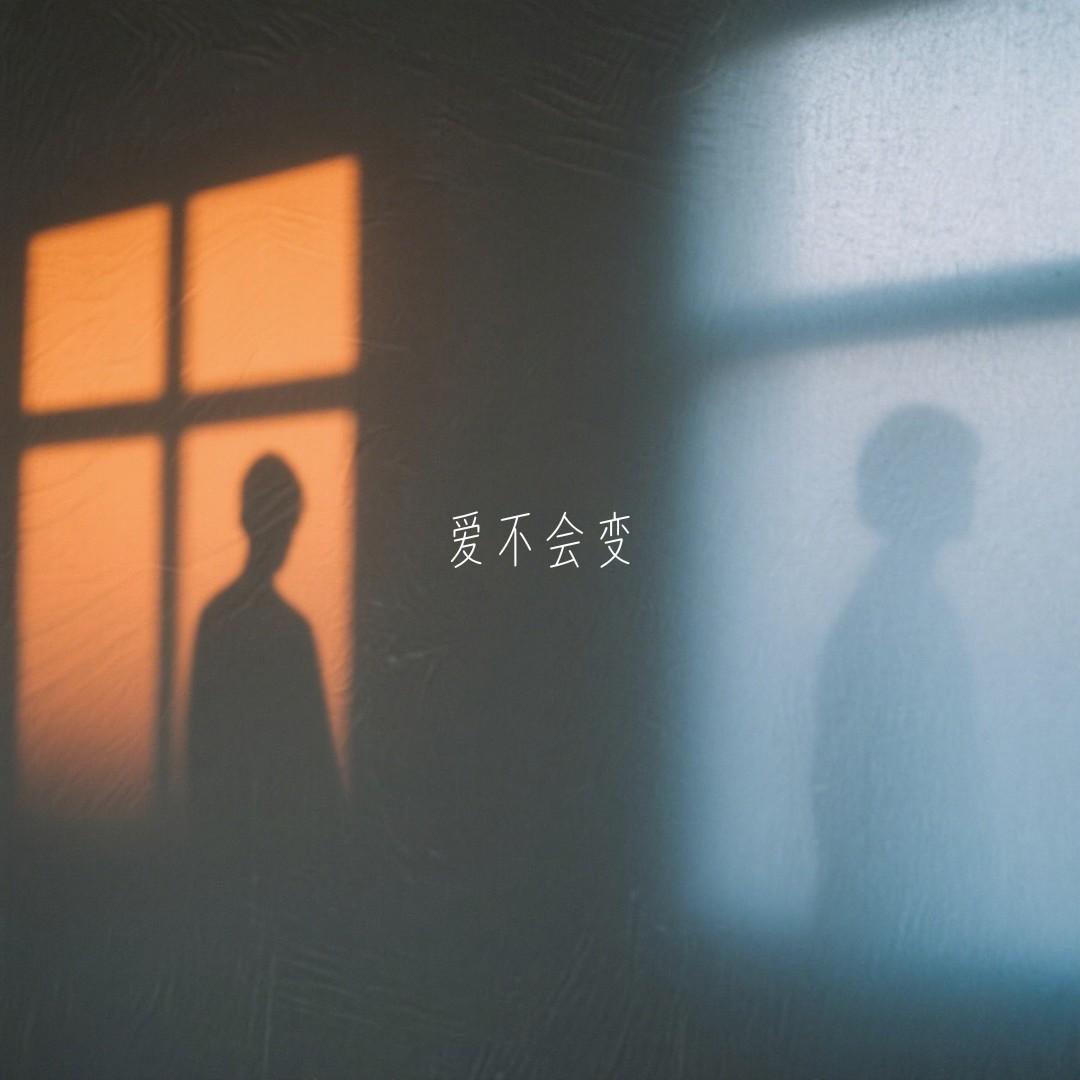 爱不会变封面