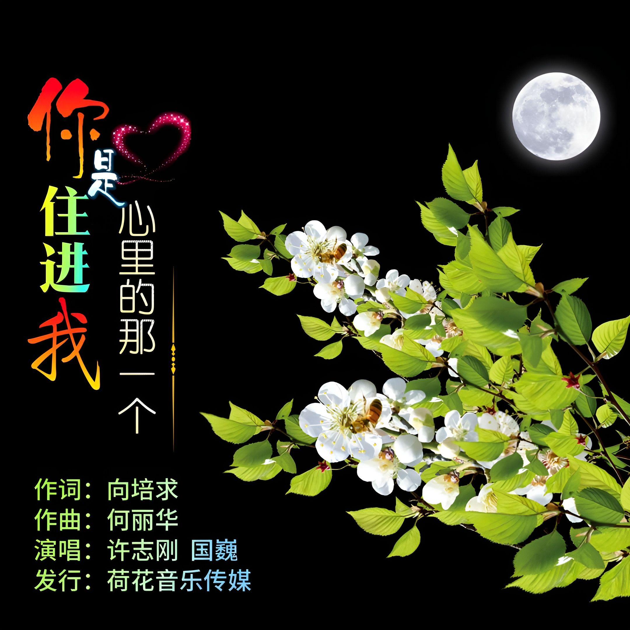 你是住进我心里的那一个 (伴奏)封面
